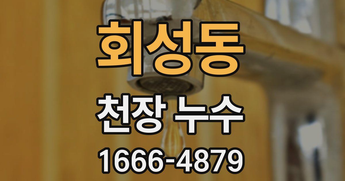 회성동 천장 누수