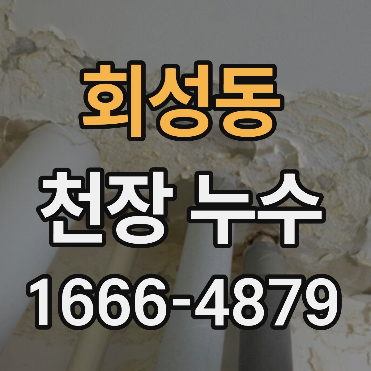 회성동 천장 누수