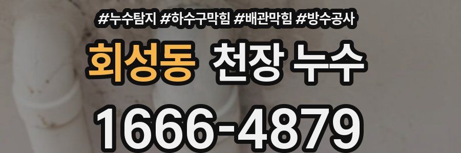 회성동 천장 누수