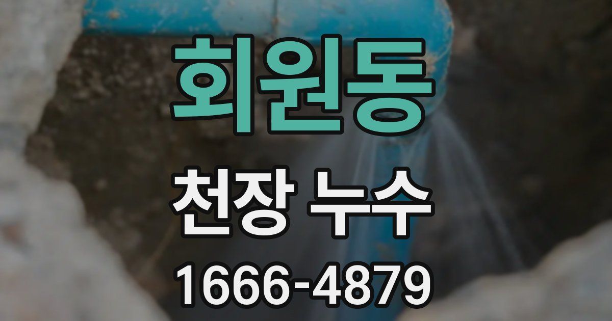 회원동 천장 누수