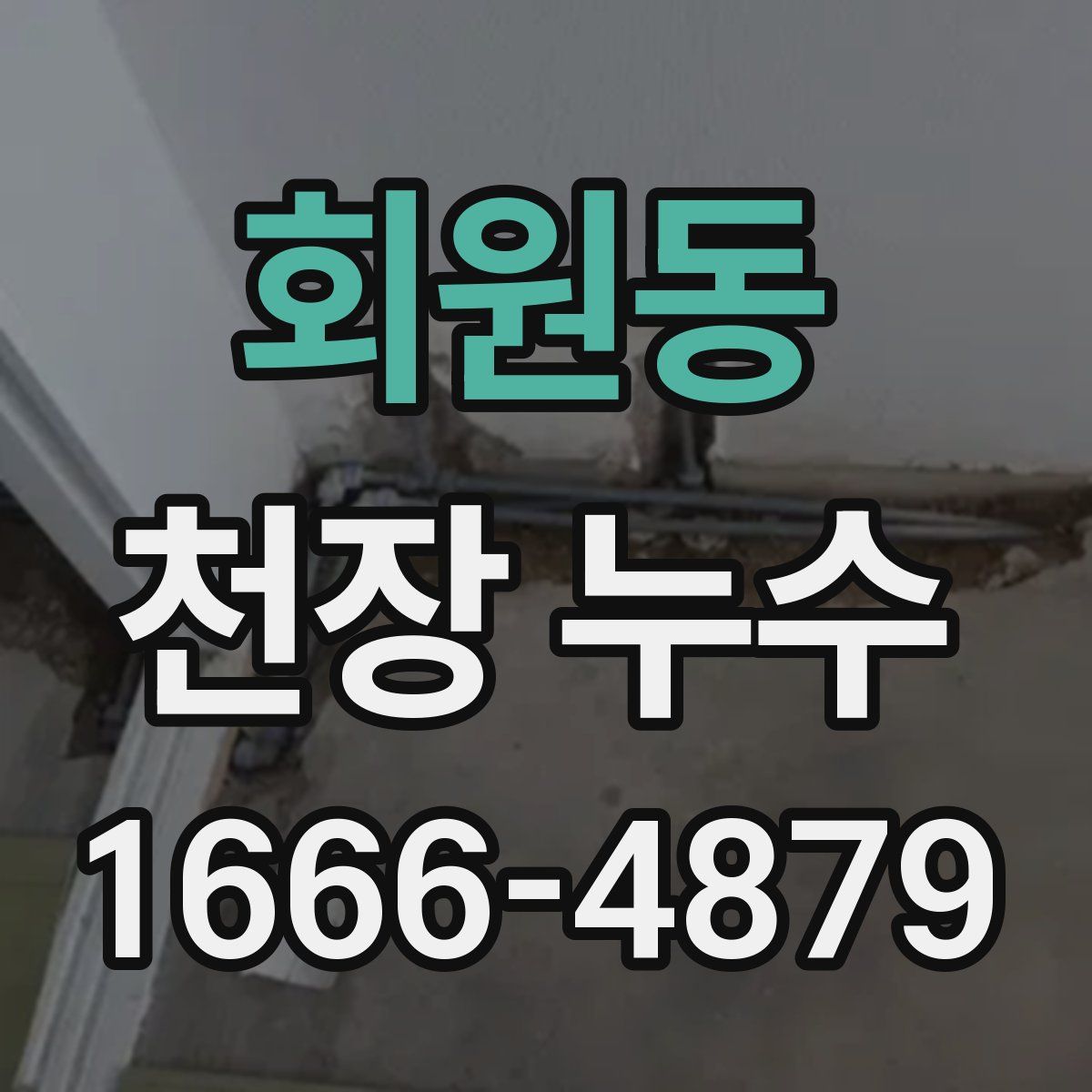회원동 천장 누수