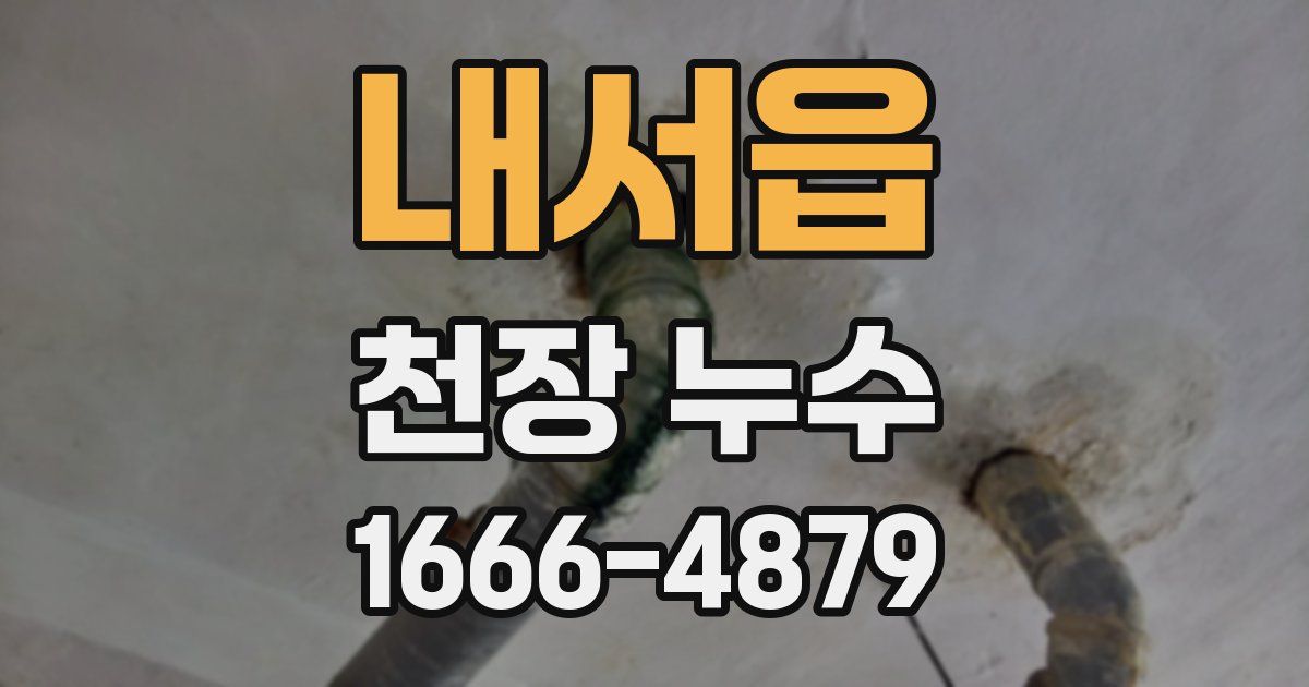 내서읍 천장 누수