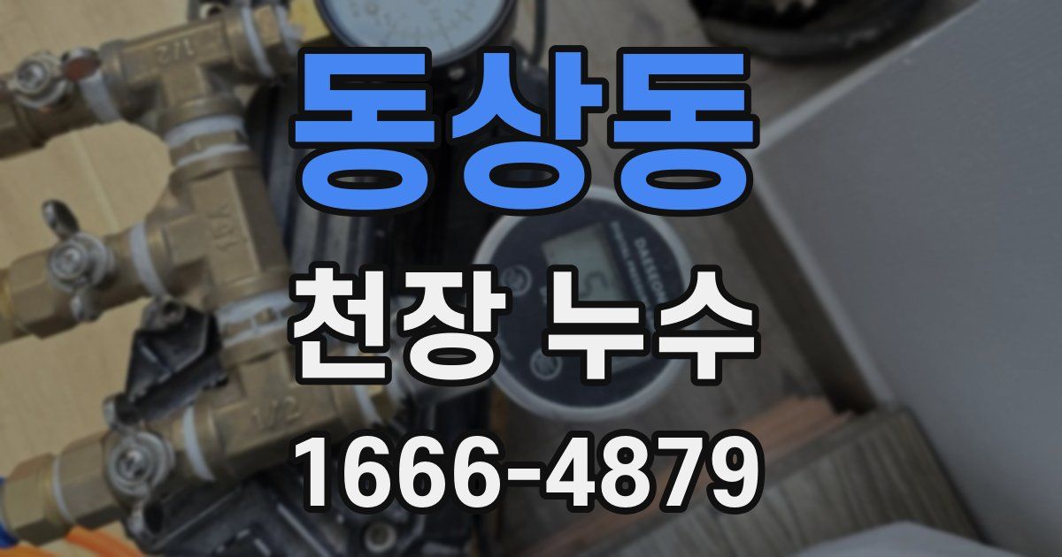 동상동 천장 누수