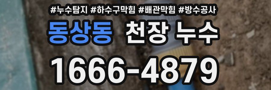 동상동 천장 누수