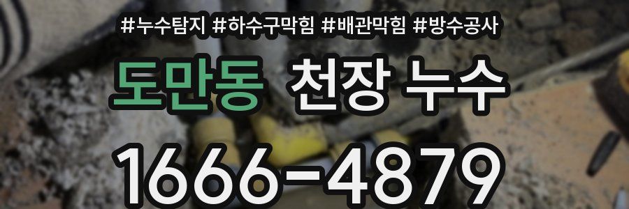 도만동 천장 누수