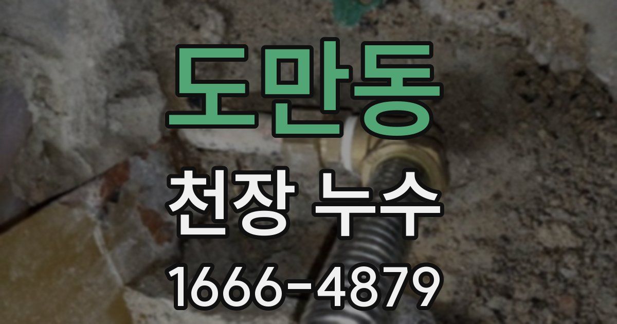 도만동 천장 누수