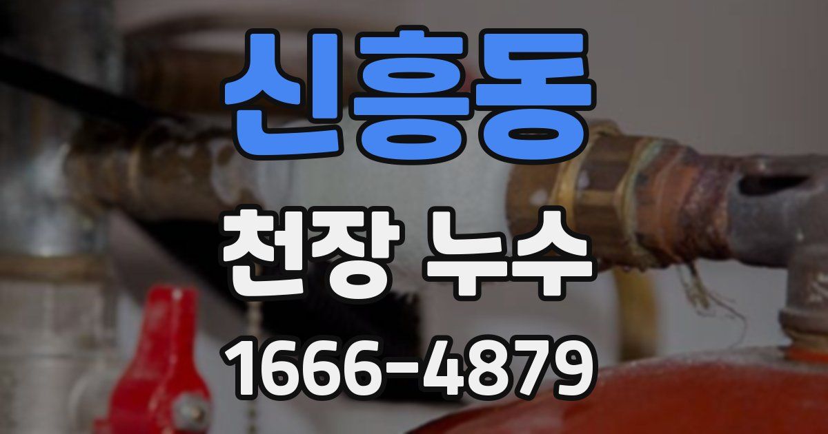 신흥동 천장 누수