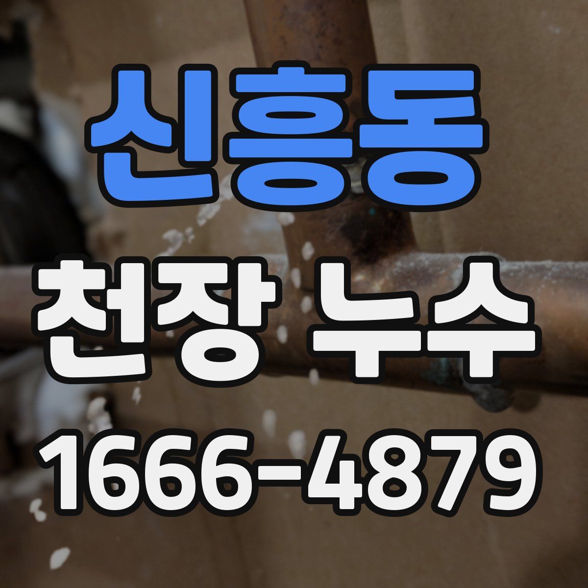 신흥동 천장 누수
