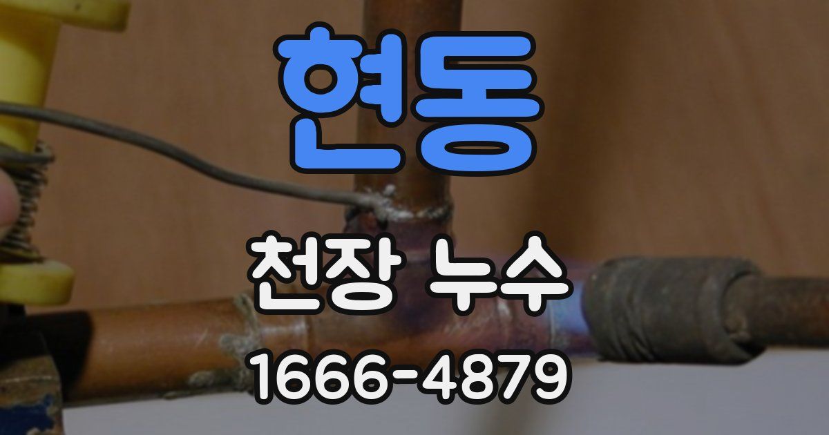 현동 천장 누수