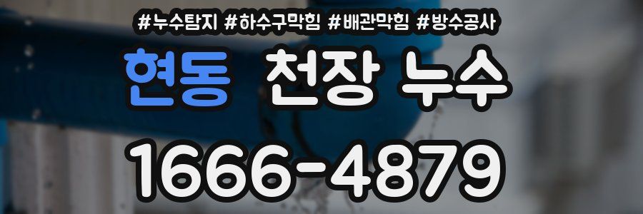 현동 천장 누수