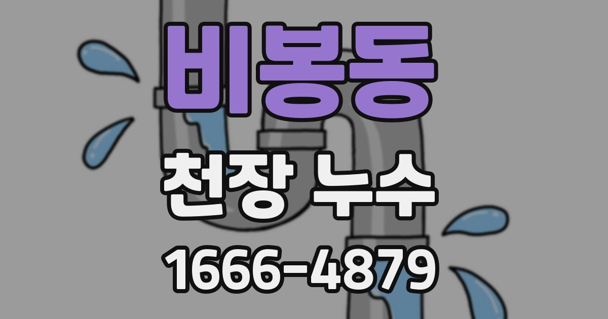 비봉동 천장 누수