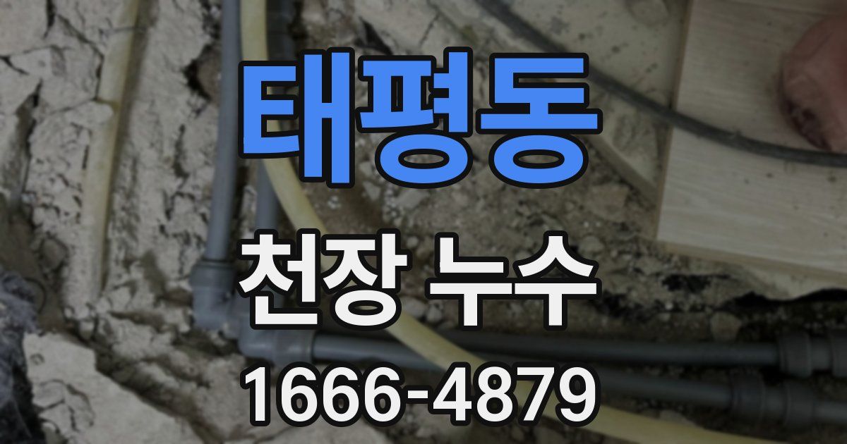 태평동 천장 누수