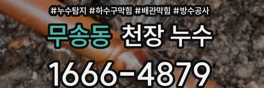 무송동 천장 누수