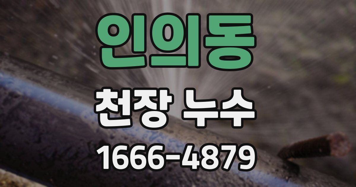 인의동 천장 누수