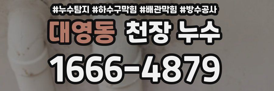 대영동 천장 누수