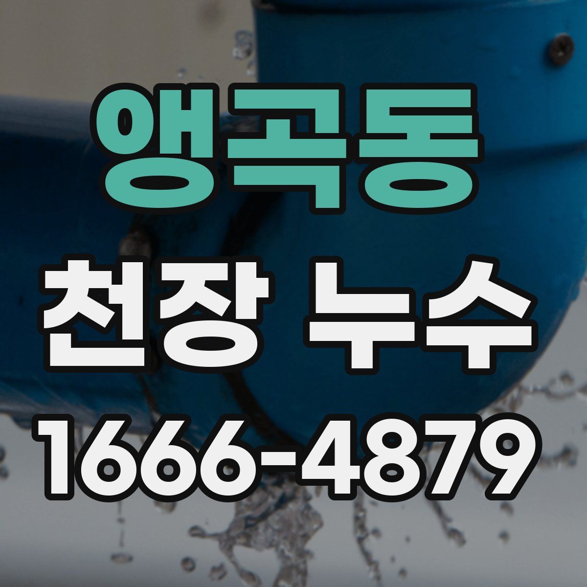 앵곡동 천장 누수