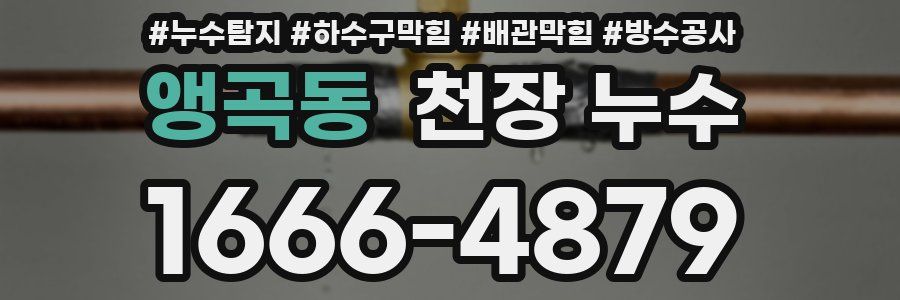 앵곡동 천장 누수