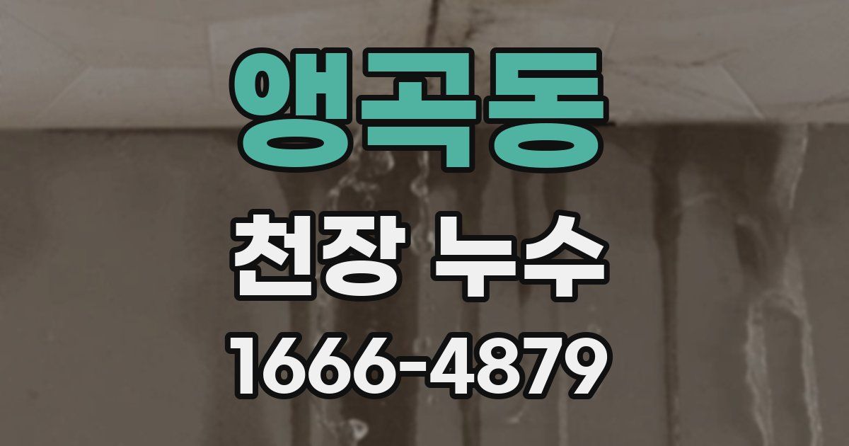 앵곡동 천장 누수