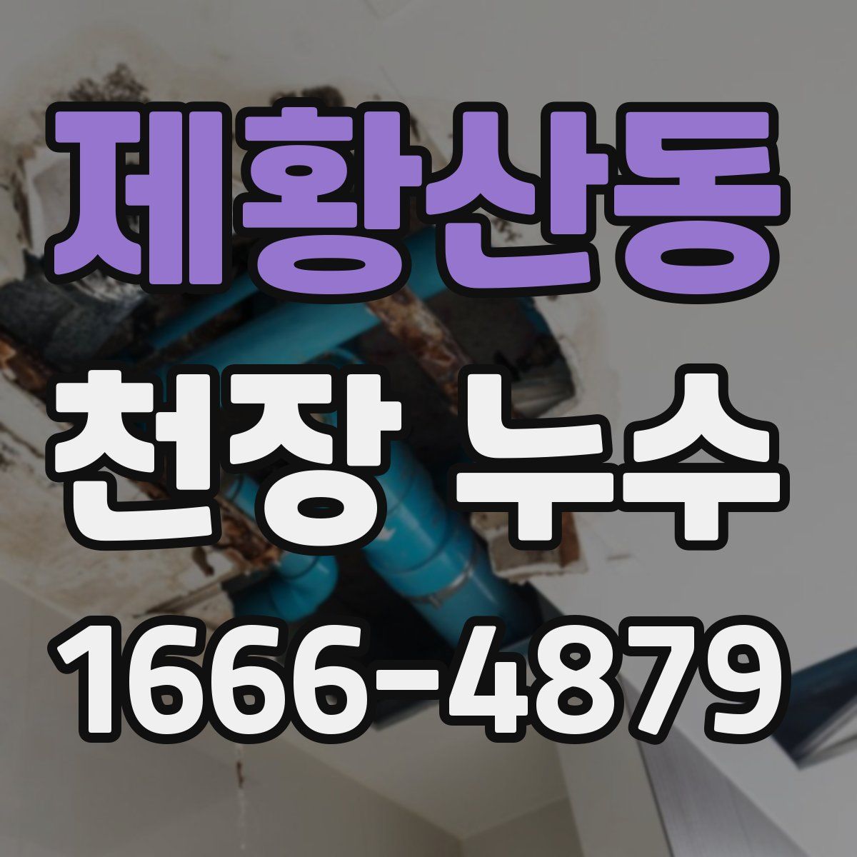 제황산동 천장 누수