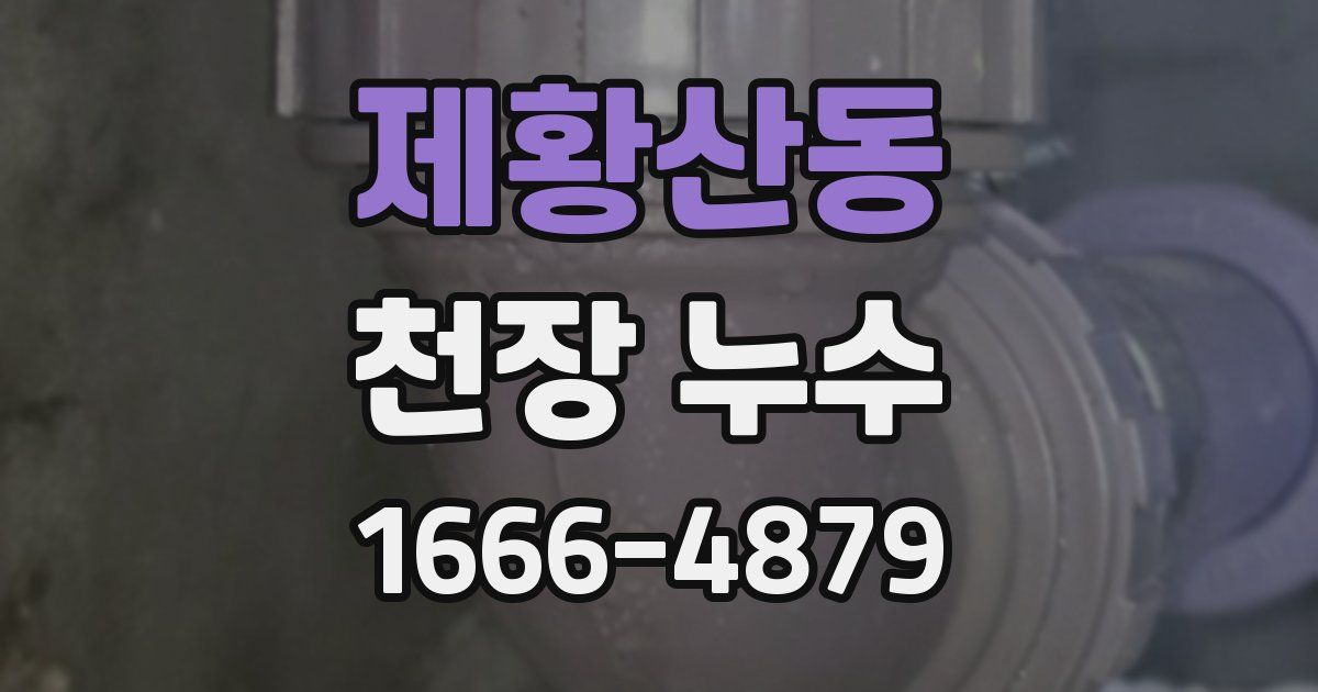 제황산동 천장 누수