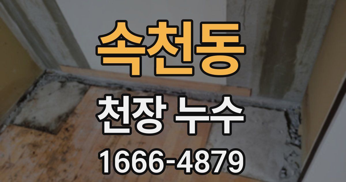 속천동 천장 누수