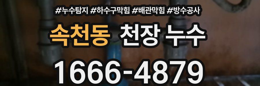 속천동 천장 누수