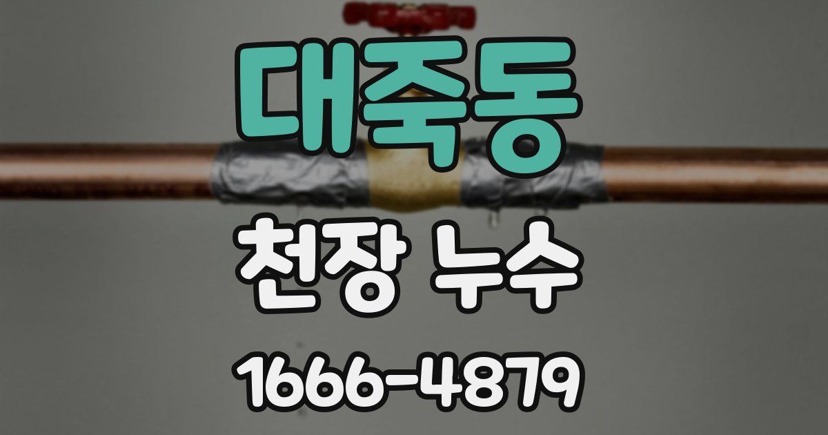 대죽동 천장 누수