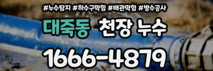 대죽동 천장 누수