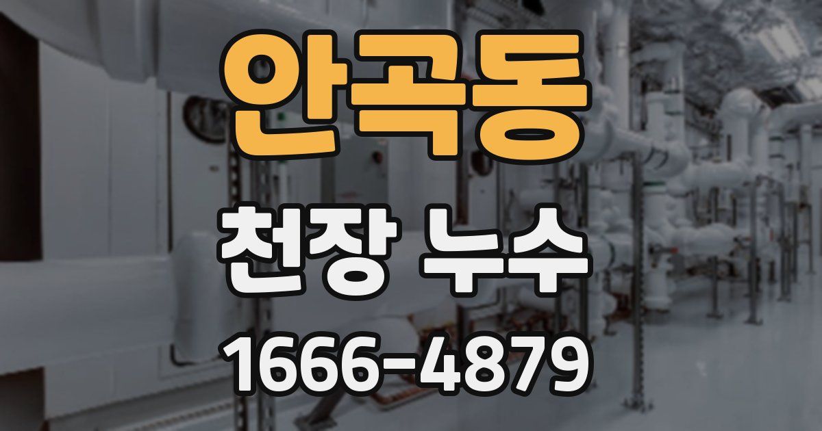 안곡동 천장 누수