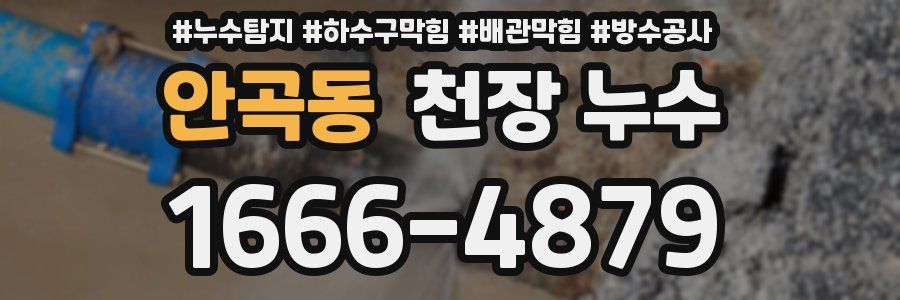 안곡동 천장 누수