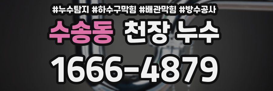 수송동 천장 누수
