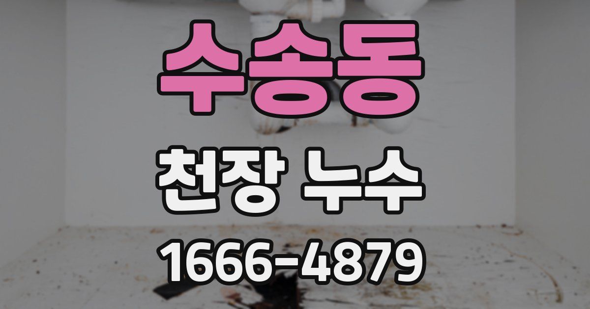 수송동 천장 누수