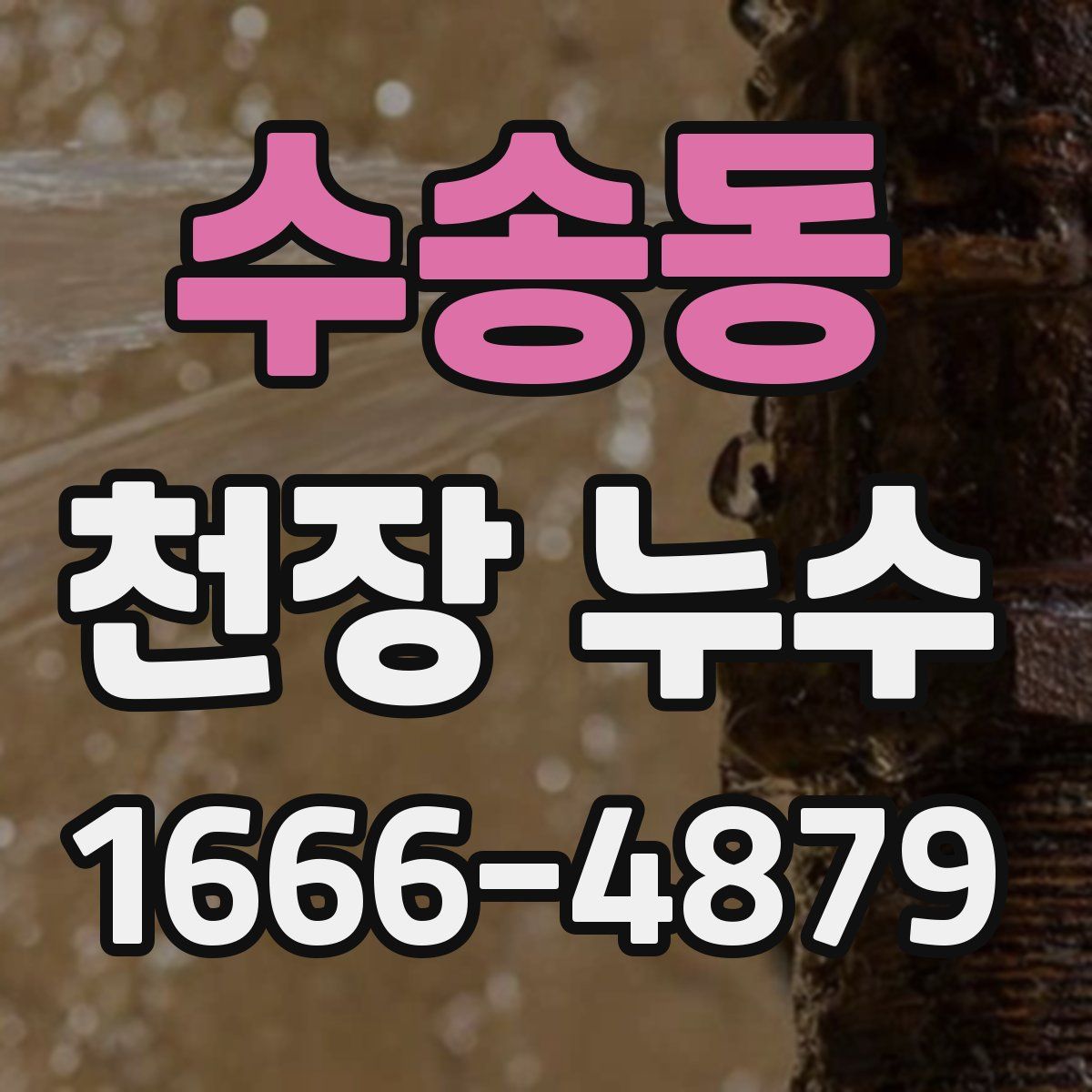 수송동 천장 누수