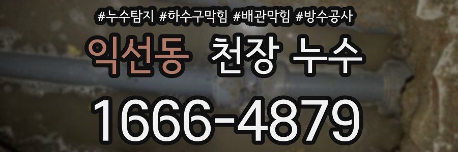 익선동 천장 누수