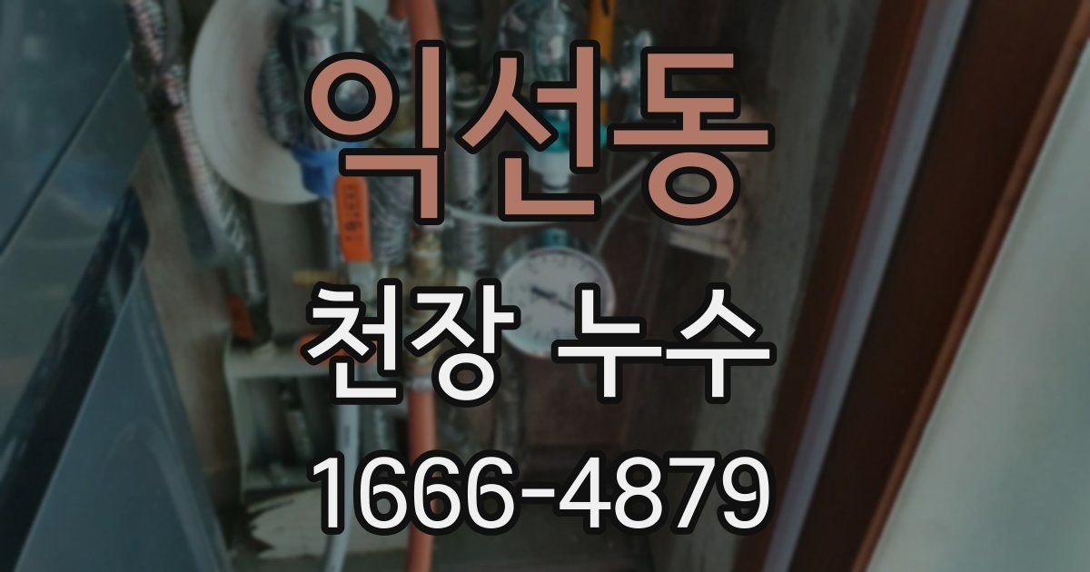 익선동 천장 누수