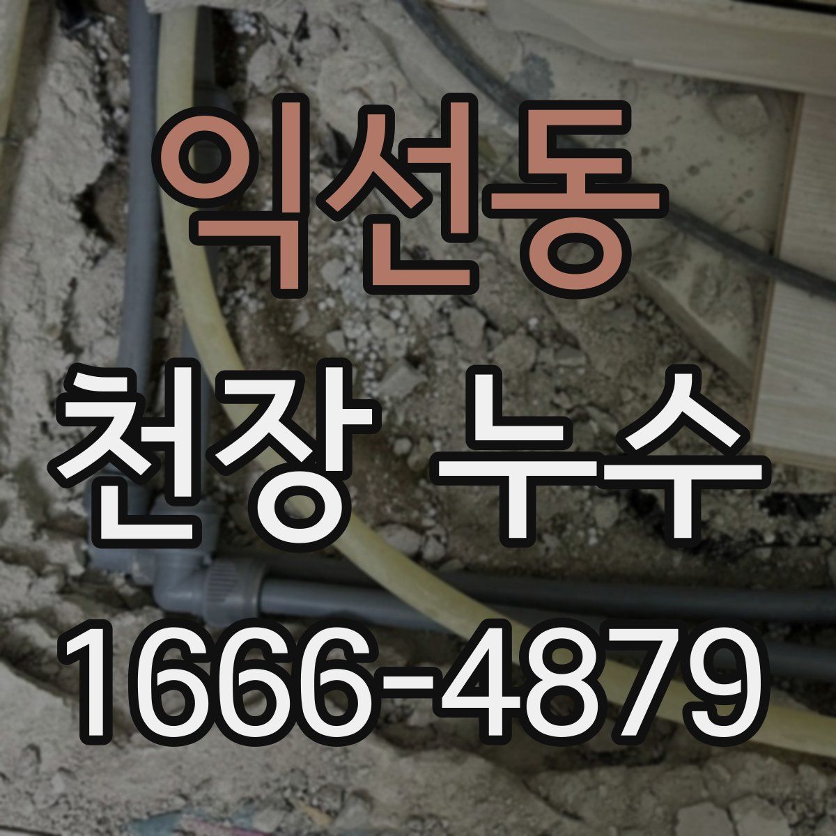 익선동 천장 누수