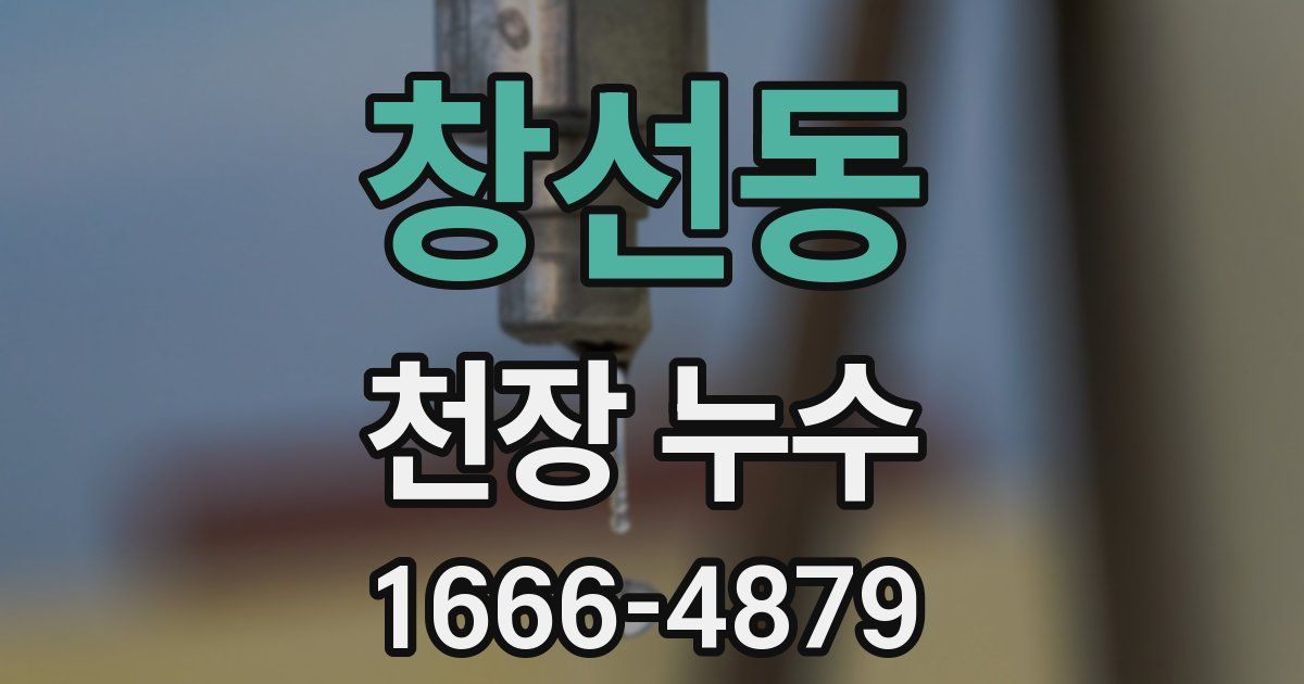 창선동 천장 누수