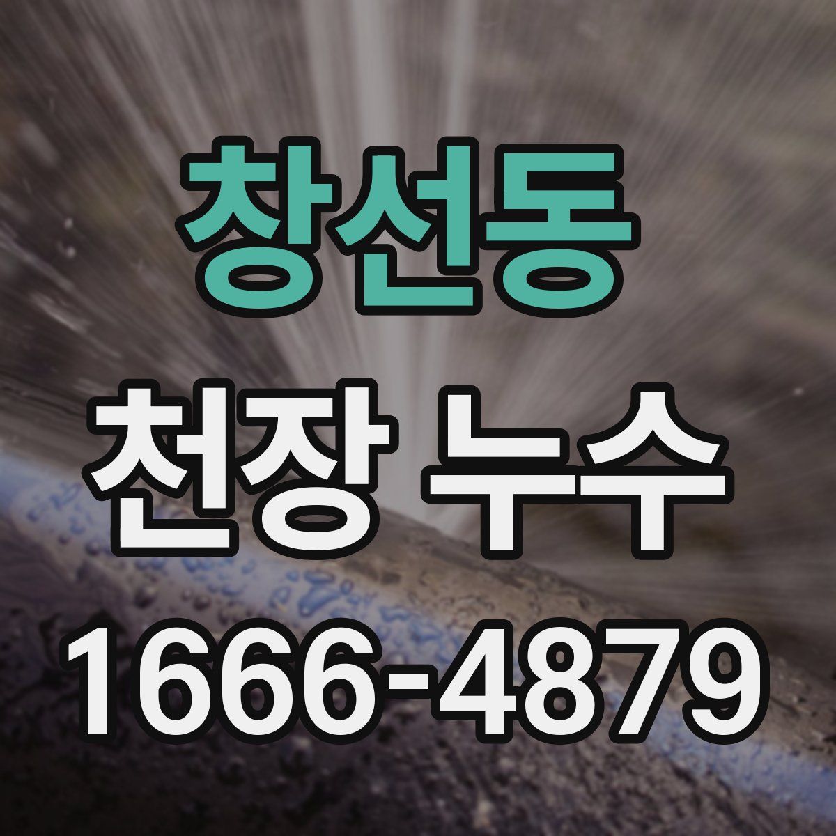 창선동 천장 누수