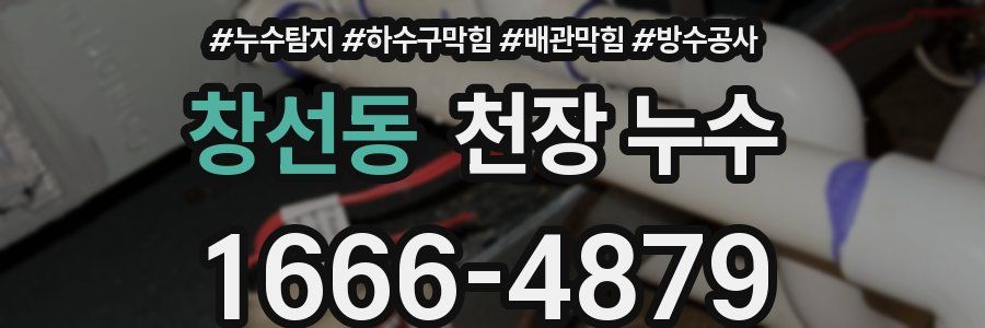 창선동 천장 누수
