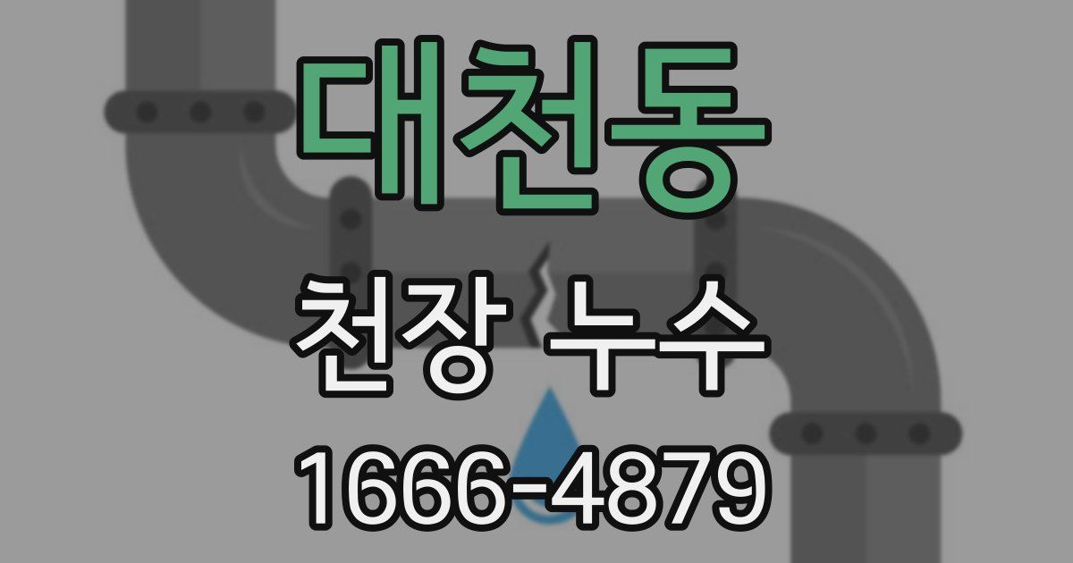 대천동 천장 누수