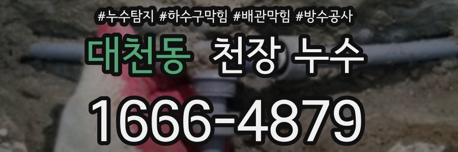 대천동 천장 누수