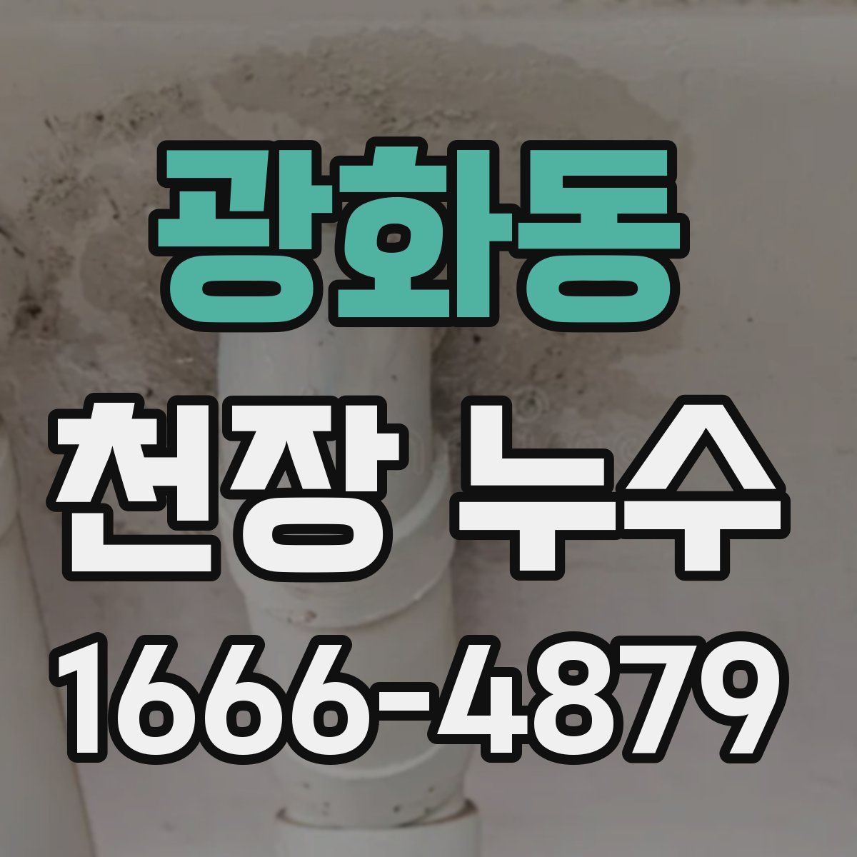 광화동 천장 누수
