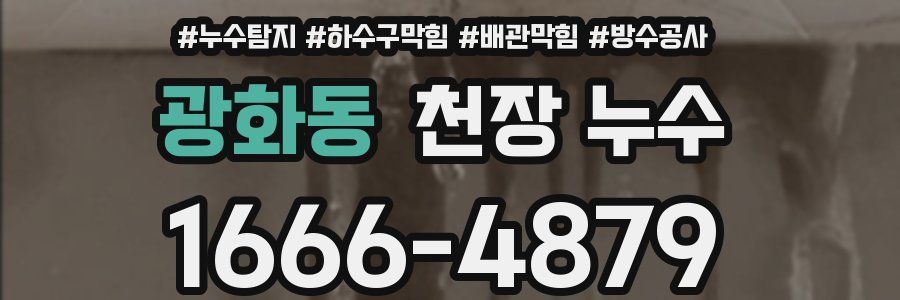광화동 천장 누수