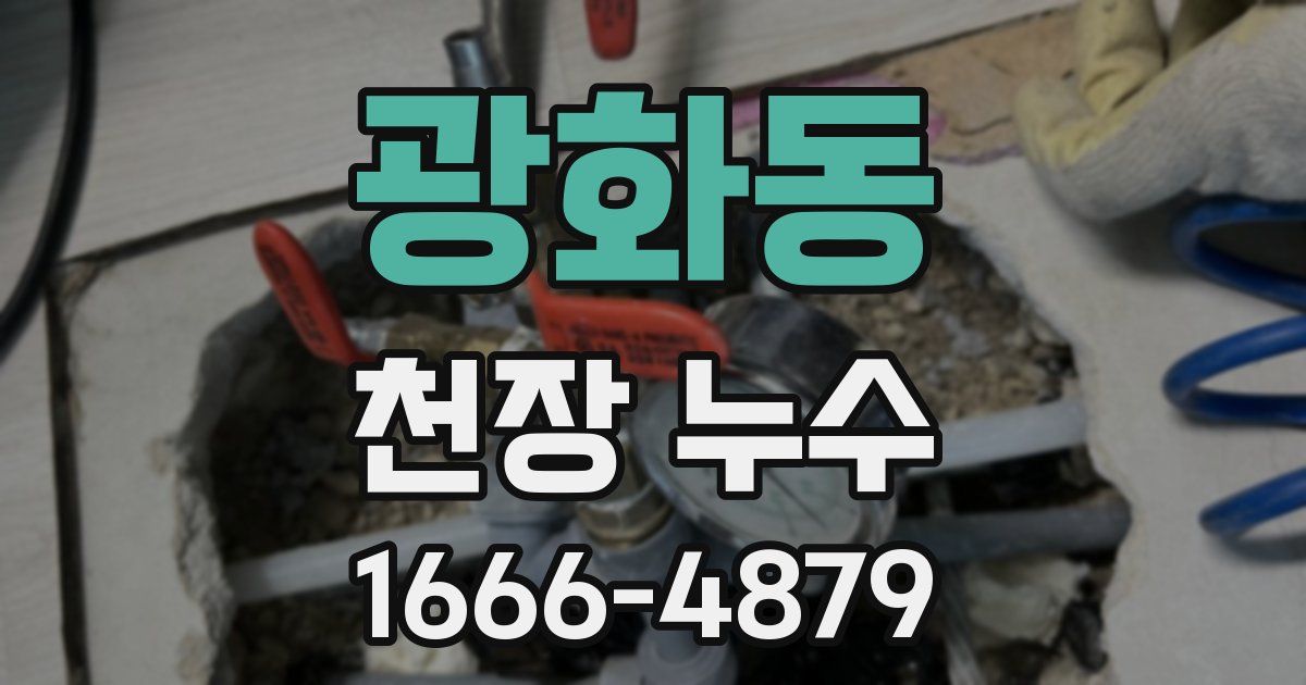 광화동 천장 누수