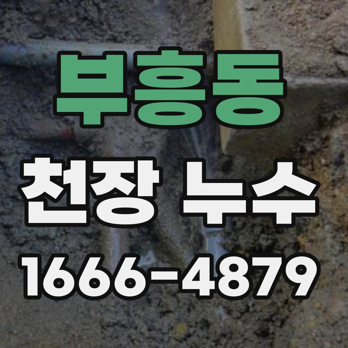 부흥동 천장 누수