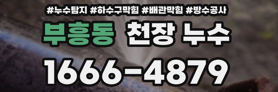 부흥동 천장 누수