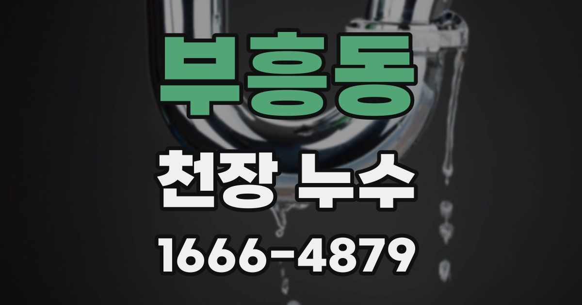 부흥동 천장 누수