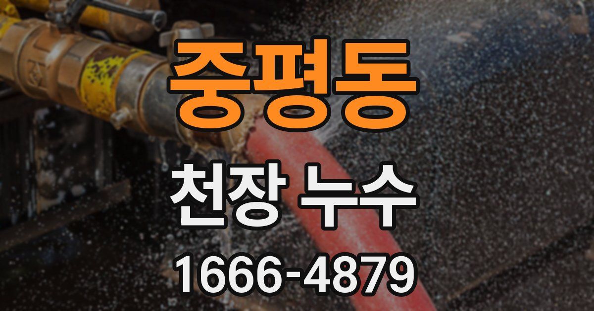 중평동 천장 누수