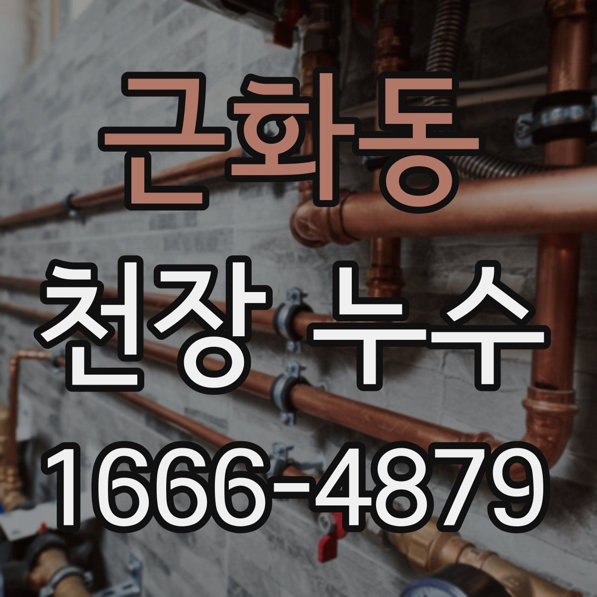 근화동 천장 누수