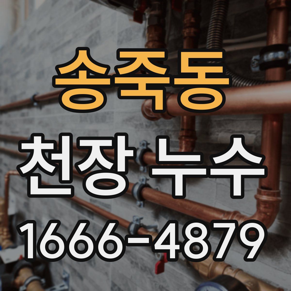 송죽동 천장 누수